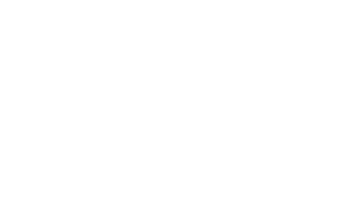 InElettrico