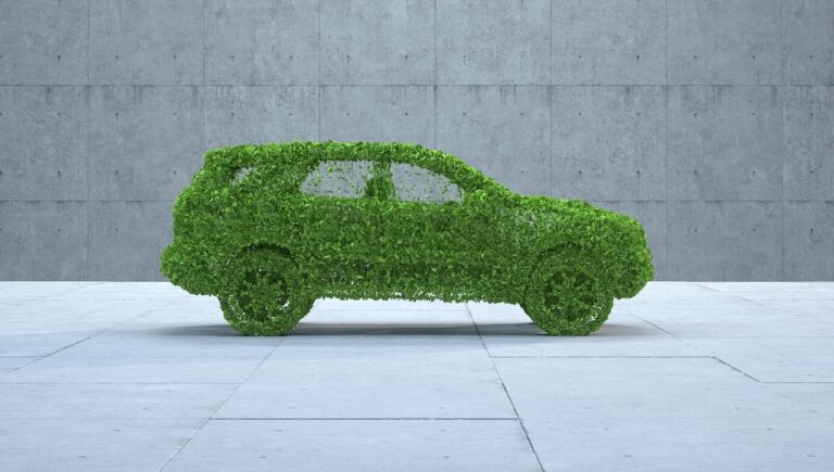 Incentivi auto elettrica ecologica ecobonus