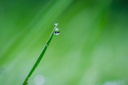 eco green