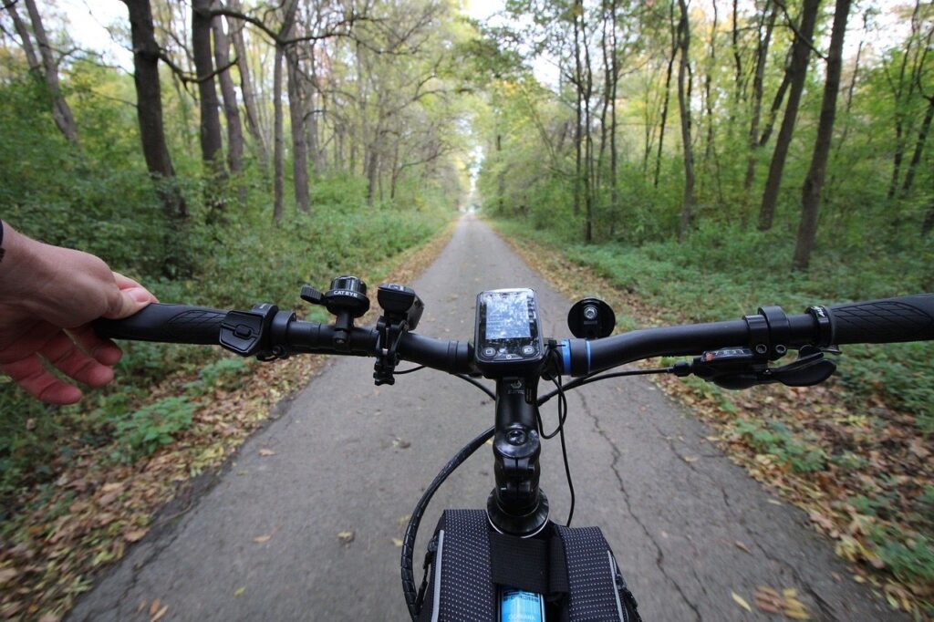 Bici elettriche