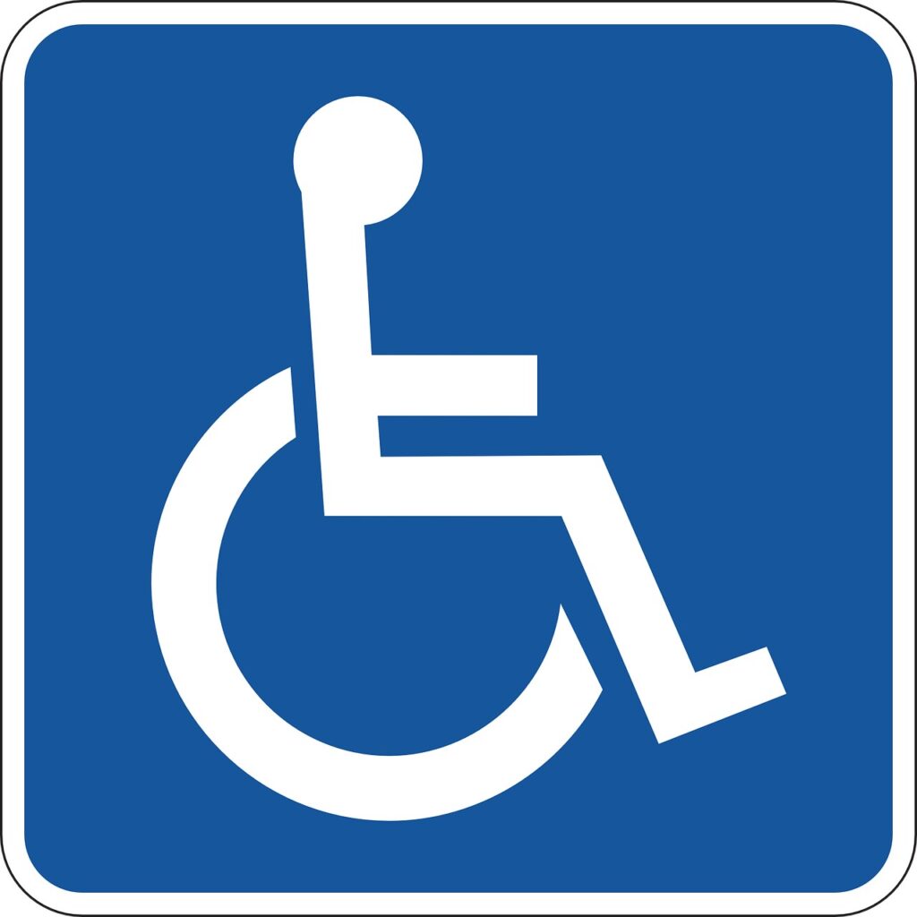 Disabilità