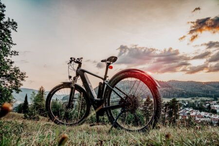 bici a pedalata assistita