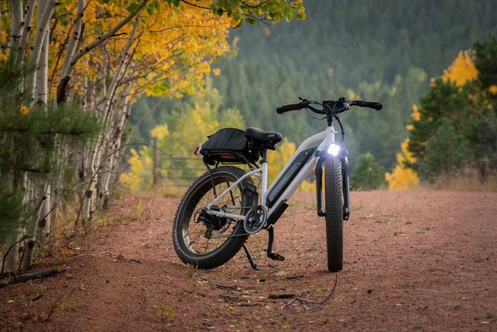 Autonomia bici elettrica