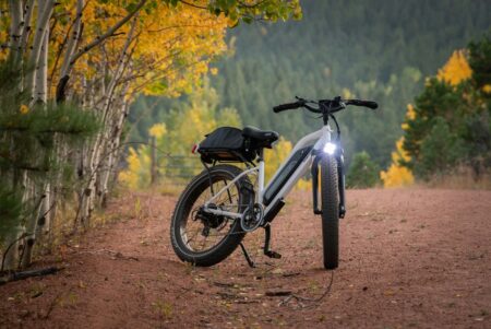 Autonomia bici elettrica