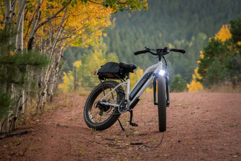 Autonomia bici elettrica