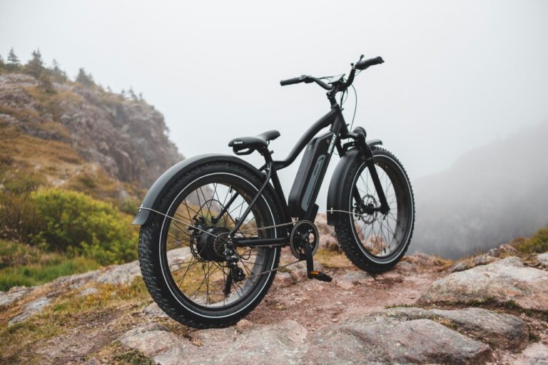 Bici elettrica, vacanze e cicloturismo