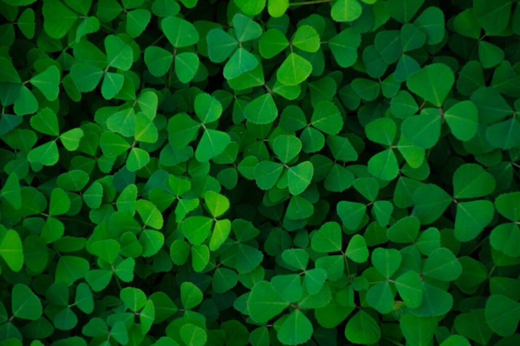 Green, emissioni zero