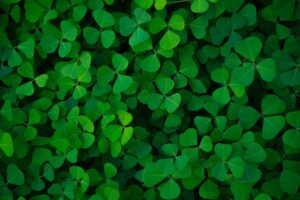 Green, emissioni zero