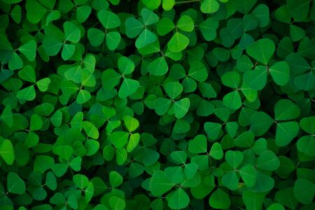Green, emissioni zero