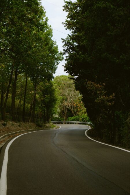 Da nord a sud in auto elettrica