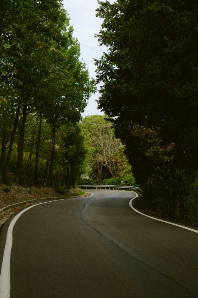 Da nord a sud in auto elettrica